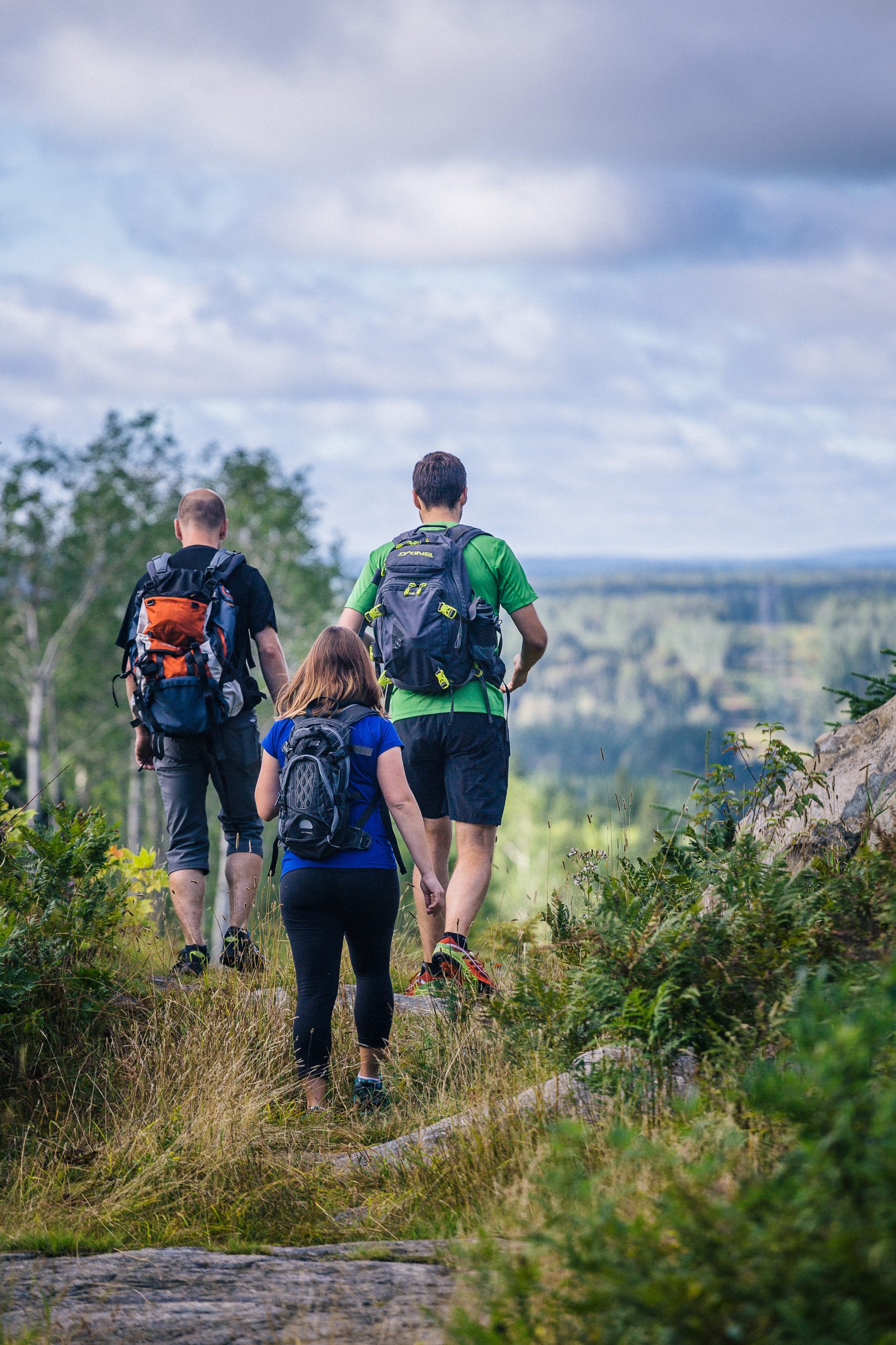 Trois randonneurs sont vus de dos. Il marchent dans un sentier qui semble élevé dans un montagne car on voit le paysage à l'horizon. 